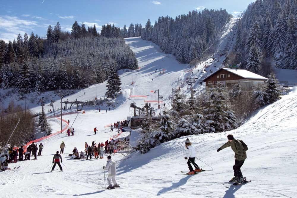 Chalet Les Camelias Spa Gérardmer Zewnętrze zdjęcie
